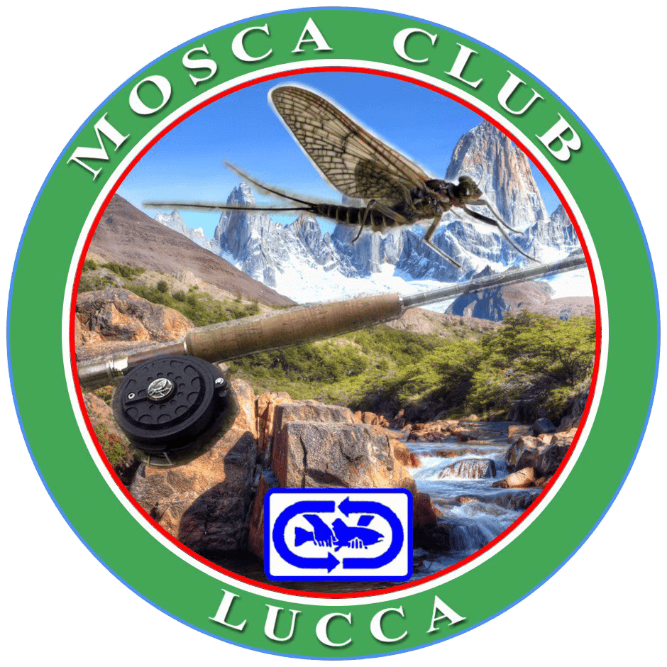 Mosca Club Lucca