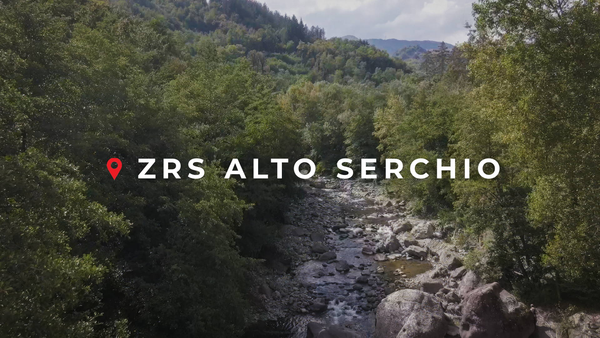 ZRS Alto Serchio